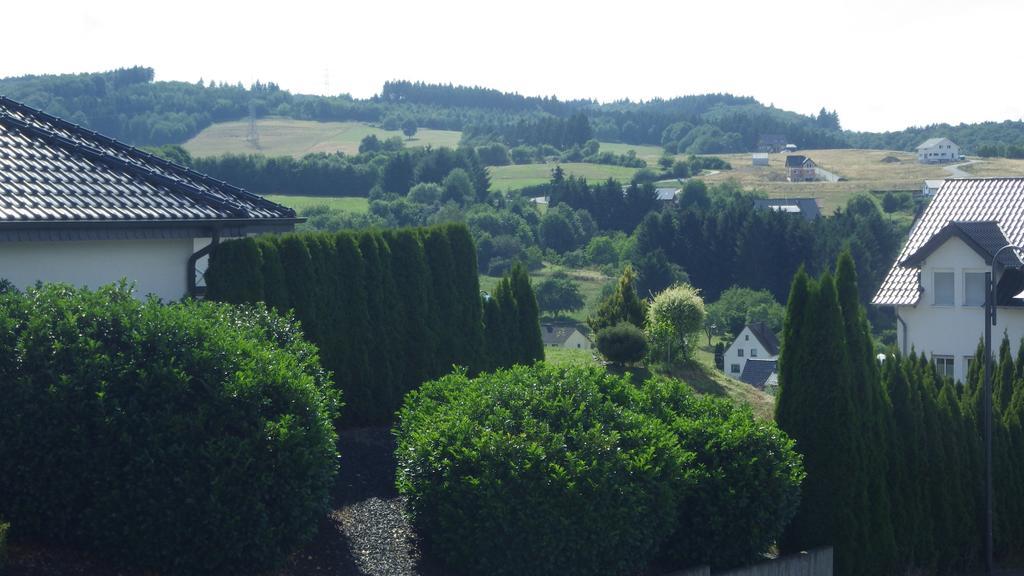 Haus Sonja Apartment Adenau Bagian luar foto