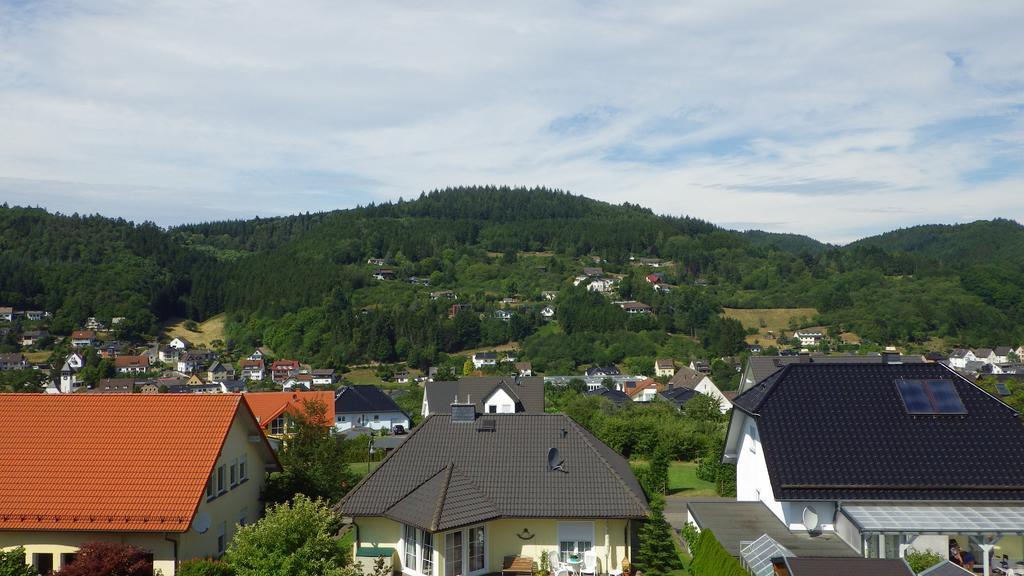 Haus Sonja Apartment Adenau Bagian luar foto